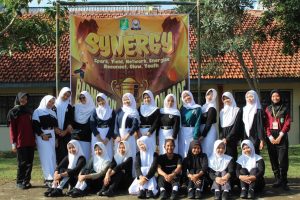 sinergi